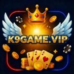 K9 Game